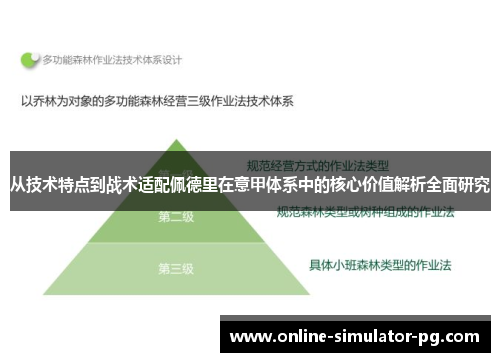 从技术特点到战术适配佩德里在意甲体系中的核心价值解析全面研究