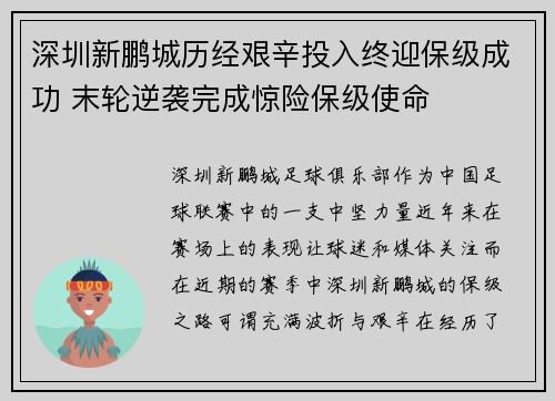 深圳新鹏城历经艰辛投入终迎保级成功 末轮逆袭完成惊险保级使命